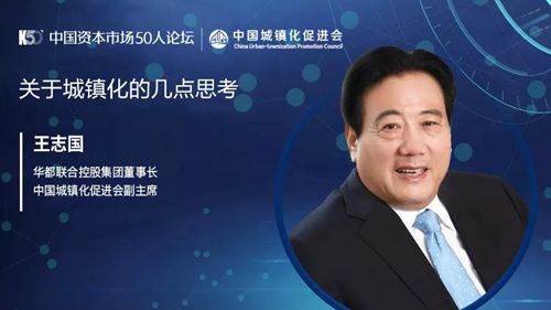 华都联合董事长王志国：新型城镇化的目标与思考