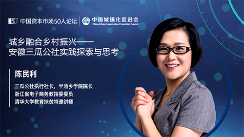 陈民利：乡村振兴的实践探索与经验分享